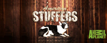 American Stuffers